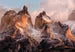 Komar Torres del Paine Papier Peint National Geographic 254x184cm | Yourdecoration.fr