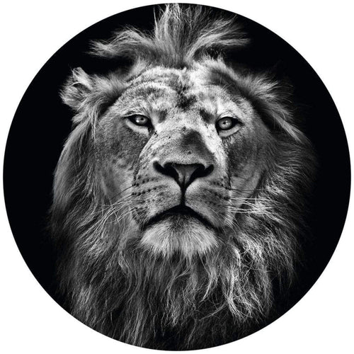 Wizard+Genius Lion Papier Peint Intissé 140x140cm rond | Yourdecoration.fr