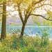 Komar Spring Lake Papier Peint National Geographic 368x254cm | Yourdecoration.fr