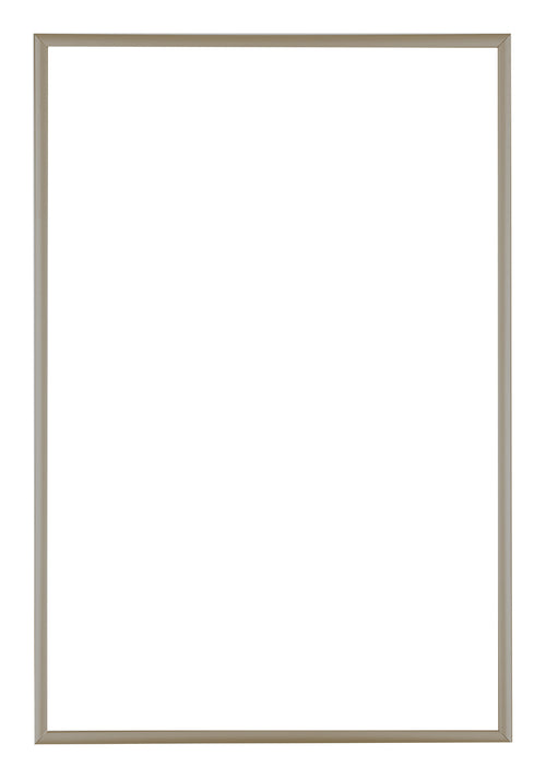 Austin Aluminium Cadre Photo 61x91 5cm Champagne De Face | Yourdecoration.fr