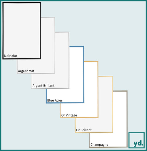 Cadre Photo 42x59-4cm Argent Mat Aluminium Austin