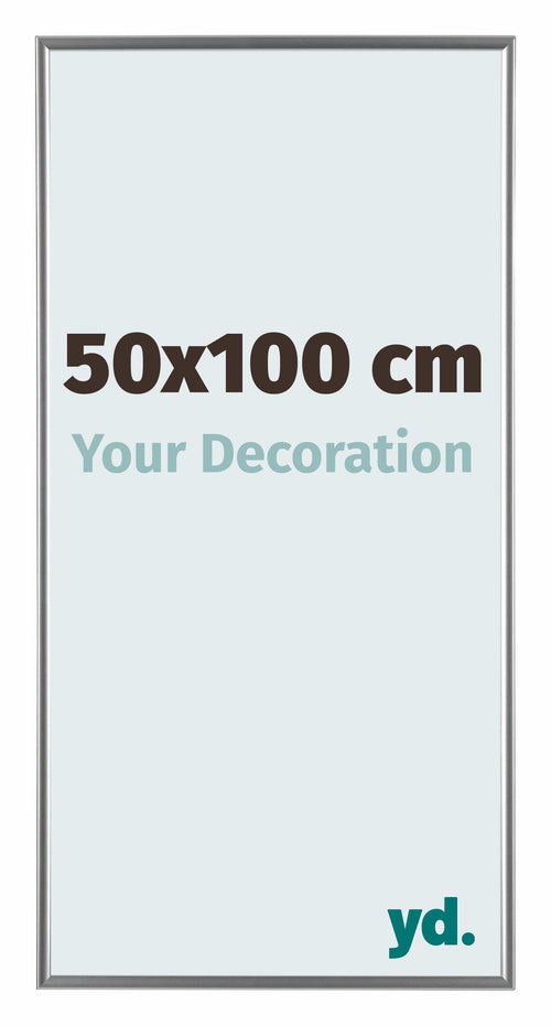 Evry Plastique Cadre Photo 50x100cm Argent De Face Mesure | Yourdecoration.fr