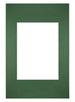 Passe Partout 20x30cm Carton Vert Foret Bord Droit De Face | Yourdecoration.fr