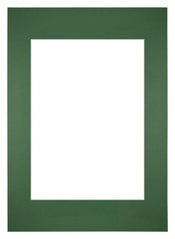 Passe Partout 59 4x84cm A1 A2 Carton Vert Foret Bord Droit De Face | Yourdecoration.fr