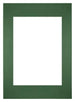 Passe Partout 59 4x84cm A1 A2 Carton Vert Foret Bord Droit De Face | Yourdecoration.fr