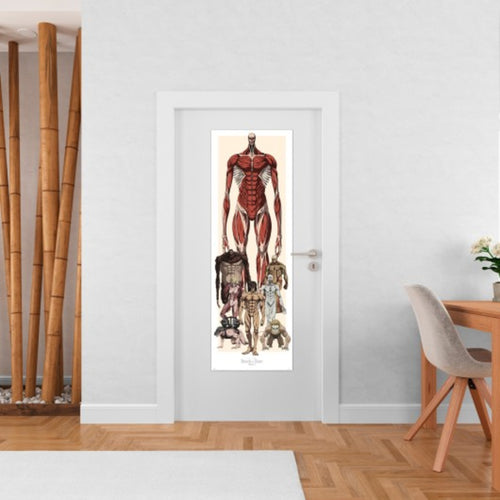 Poster Attack On Titan 53x158cm Grupo Erik PPGE8120 Sfeer | Yourdecoration.fr