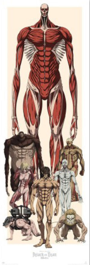 Poster Attack On Titan 53x158cm Grupo Erik PPGE8120 | Yourdecoration.fr