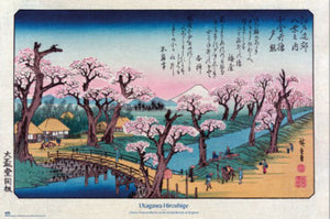 Poster Cherry Trees At Koganei Utagawa Hiroshige 61x91 5cm Grupo Erik GPE5930 | Yourdecoration.fr