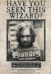 Harry Potter Wanted Sirius Black Affiche 61X91 5cm | Yourdecoration.fr