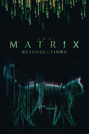 Abystyle Abydco864 The Matrix Cat Affiche Poster 61x91,5cm | Yourdecoration.fr