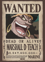 Abystyle Gbydco267 One Piece Wanted Blackbeard Affiche Poster 38x52cm | Yourdecoration.fr