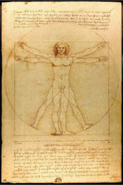 Poster Vitruvian Man 61x91 5cm Grupo Erik GPE5819 | Yourdecoration.fr