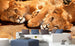 Dimex Young Lions Papier Peint 375x250cm 5 bandes ambiance | Yourdecoration.fr