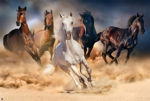 Grupo Erik GPE5031 Five Horses Affiche 91,5X61cm | Yourdecoration.fr