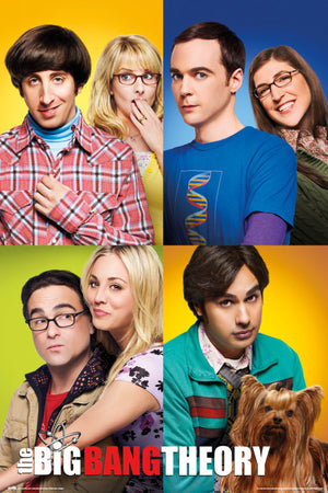 Grupo Erik GPE5328 The Big Bang Theory Mosaico Affiche 61X91,5cm | Yourdecoration.fr