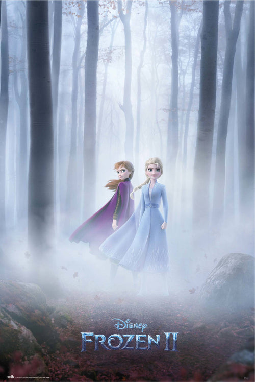 Grupo Erik GPE5385 Disney Frozen Sisters Affiche 61X91,5cm | Yourdecoration.fr