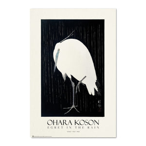 Grupo Erik Gpe5555 Affiche Art Egret In The Rain | Yourdecoration.fr