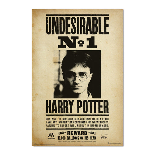 Grupo Erik Gpe5607 Affiche Art Harry Potter Undesirable N1 | Yourdecoration.fr