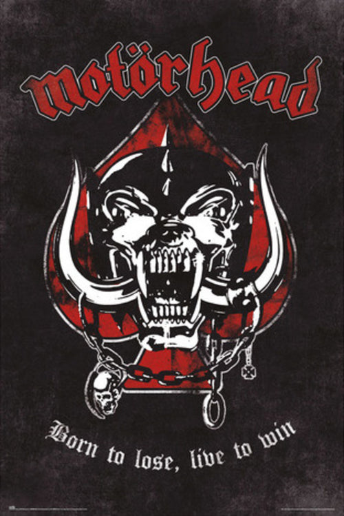 grupo erik gpe5711 motorhead born to lose affiche poster 61x91-5 cm | Yourdecoration.fr