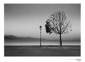 Christian Coigny  Lutry Lac Lemon affiche art 80x60cm | Yourdecoration.fr