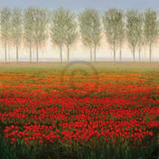 Park  Morning Mist affiche art 68x68cm | Yourdecoration.fr