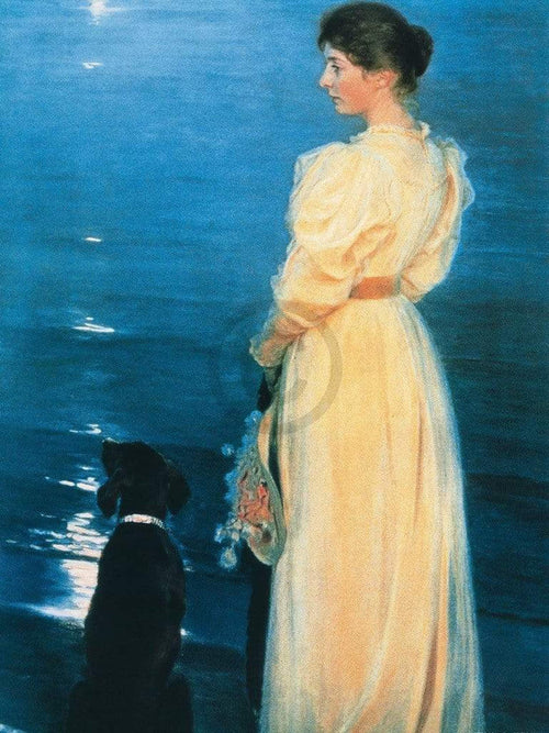 Peter Severin KrÃ¸yer  Summer evening at Skagen affiche art 60x80cm | Yourdecoration.fr