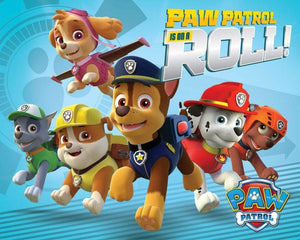 Pyramid Paw Patrol On a Roll Affiche 50x40cm | Yourdecoration.fr