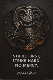 Pyramid PP34736 Cobra Kai Metal Affiche Art | Yourdecoration.fr