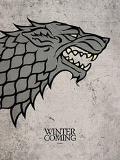 Pyramid Game of Thrones Stark affiche art 60x80cm | Yourdecoration.fr