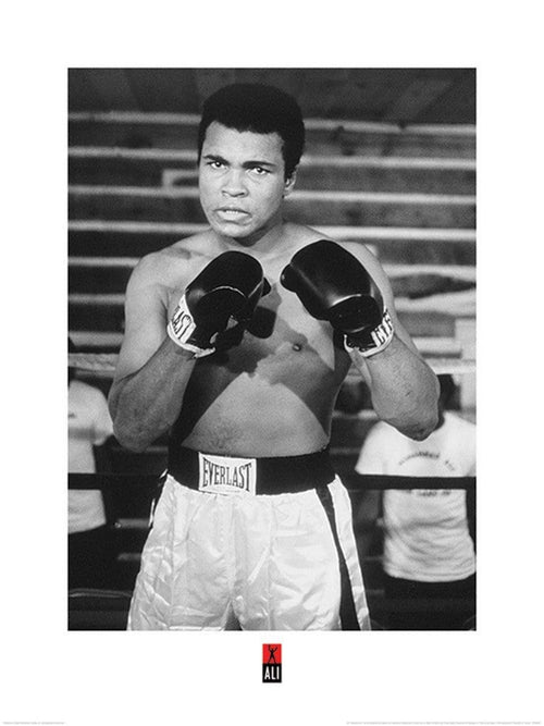 Pyramid Muhammad Ali Pose affiche art 60x80cm | Yourdecoration.fr