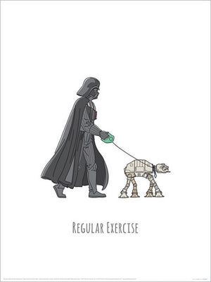 pyramid ppr54081 star wars vaders boredom busting ideas regular exercise affiche art 30x40cm | Yourdecoration.fr