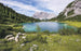 Komar Paradise Lake Papier Peint Intissé 400x250cm 4 bandes | Yourdecoration.fr