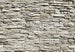 Papier Peint - The Wall 366x254cm - Papier