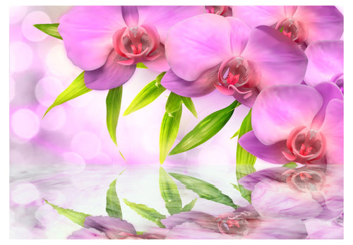 Papier Peint - Orchids in Lilac Colour - Intissé