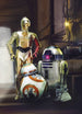 Komar Star Wars Three Droids Papier Peint 184x254cm | Yourdecoration.fr