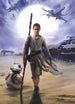 Komar Star Wars Rey Papier Peint 184x254cm | Yourdecoration.fr