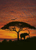 Komar African Sunset Papier Peint National Geographic 194x270cm | Yourdecoration.fr