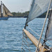 Komar Sailing Papier Peint National Geographic 368x254cm | Yourdecoration.fr