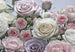 Komar Floraison Papier Peint 368x254cm | Yourdecoration.fr