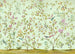 Komar Oiseaux du Paradis Intisse Papier Peint 350x250cm 7 bandes | Yourdecoration.fr