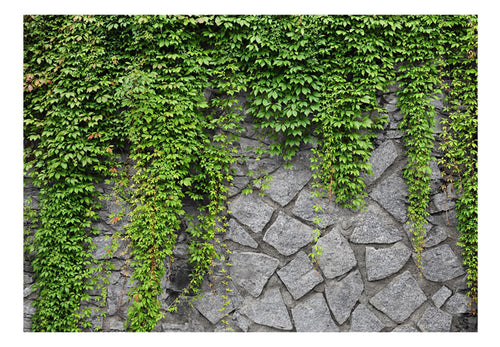 Papier Peint - Green Wall - Intissé