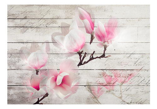 Papier Peint - Gentleness of the Magnolia - Intissé