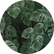 Komar Novel Monstera Papier Peint 125x125cm Rond | Yourdecoration.fr