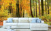 Dimex Autumn Forest Papier Peint 375x250cm 5 bandes ambiance | Yourdecoration.fr