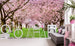 Dimex Cherry Trees Papier Peint 375x250cm 5 bandes ambiance | Yourdecoration.fr