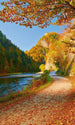 Dimex Dunajec River Papier Peint 150x250cm 2 bandes | Yourdecoration.fr