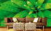 Dimex Fresh Foliage Papier Peint 375x250cm 5 bandes ambiance | Yourdecoration.fr