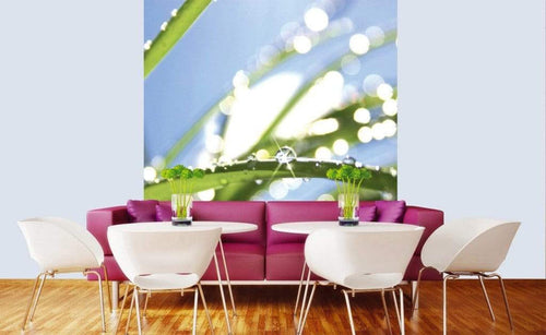 Dimex Grass Papier Peint 225x250cm 3 bandes ambiance | Yourdecoration.fr