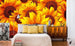 Dimex Helianthus Papier Peint 375x250cm 5 bandes ambiance | Yourdecoration.fr