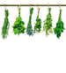 Dimex Herbs Papier Peint 225x250cm 3 bandes | Yourdecoration.fr